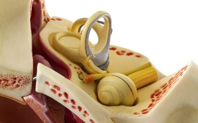 Autoimmune Inner Ear Disease